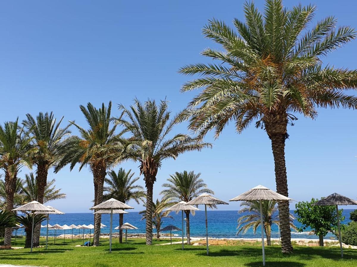 Seaview Sunset Holiday Apartments Paphos Ngoại thất bức ảnh